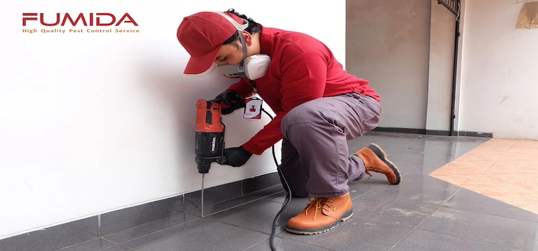 Pentingnya Menggunakan Jasa Anti Rayap Terbaik untuk Perlindungan Bangunan