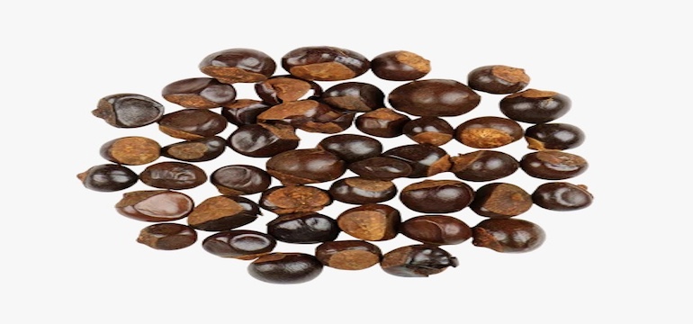 Mengenal Perbedaan Kafein Guarana dan Kopi untuk Energi Lebih Stabil