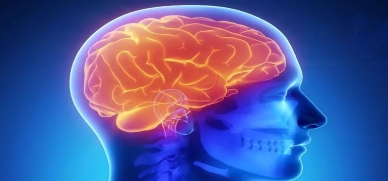 Mengenal Jenis Brain Waves dan Dampaknya pada Aktivitas Harian
