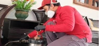 Keunggulan Menggunakan Jasa Anti Rayap Bandung untuk Perlindungan Bangunan